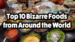 Top 10 Bizarre Foods from Around the World